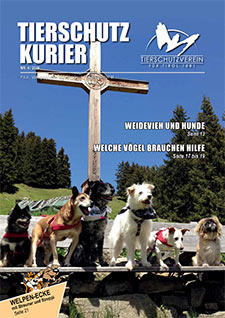 Tierschutzkurier Ausgabe 4-2016