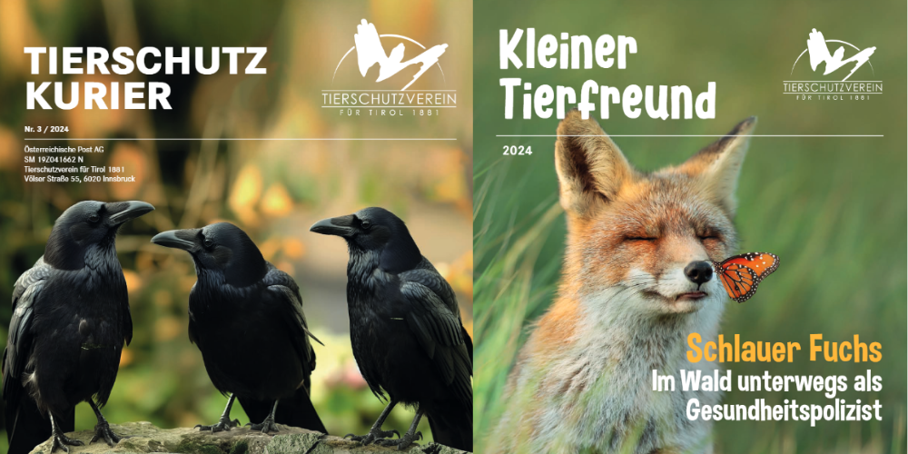 Unser neuer Tierschutzkurier ist da!